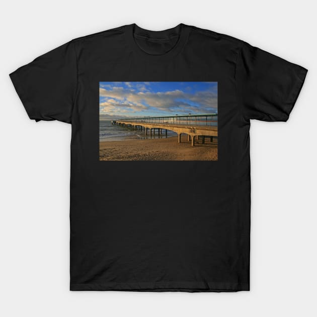 Boscombe Pier T-Shirt by RedHillDigital